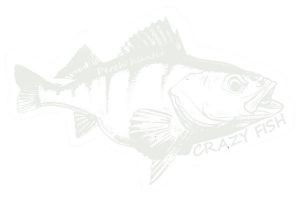 Наклейка Crazy Fish Rech Hunter 100*62мм біла на прозорому