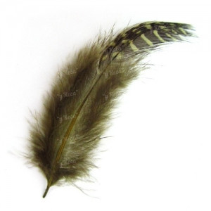 Пір'я цісарки Strike GF-Ol Guinea Feathers Olive
