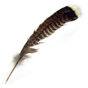 Перо индюка хвостовое Strike Turkey Tail Feathers Brown (коричневый)