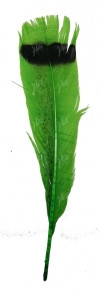Перо індика хвостове Strike Turkey Tail Feathers Green