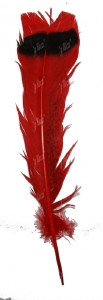 Перо индюка хвостовое Strike Turkey Tail Feathers Red
