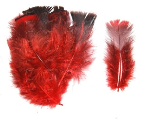 Перо покривне індика Strike Mini Blanket Turkey Feathers Red