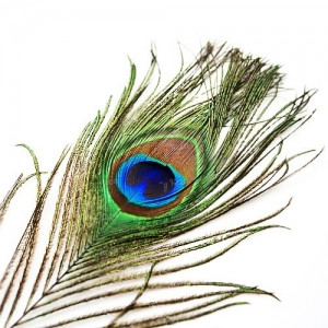 Перо павлина Strike Peacock Herle - Natural