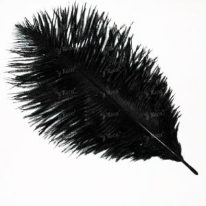 Перо страуса Strike Ostrich Feathers - Black