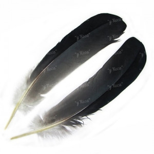 Перо цапли маховое Strike Heron Feathers - Natural