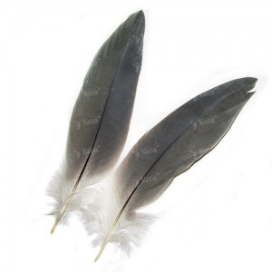 Перо цапли маховое Strike Heron Mini Feathers - Natural
