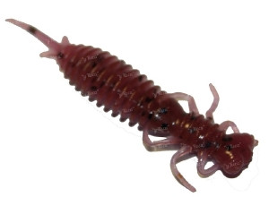 Силікон Fanatik Larva 1.6