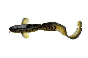 Силикон Savage Gear 3D Burbot 250мм FS-01-Burbot