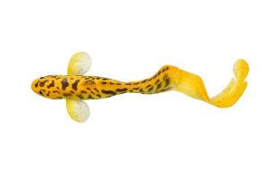 Силікон Savage Gear 3D Burbot 250мм FS-02-Golden Albino