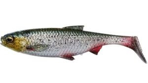 Силикон Savage Gear 3D River Roach 120мм Green Silver 1шт