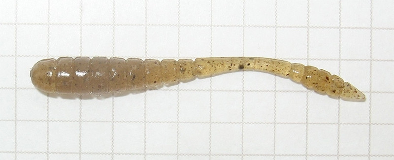 Tsunekichi Worm 2