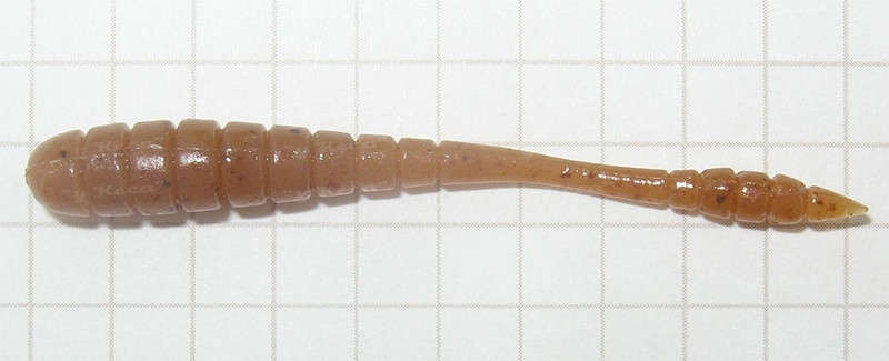 Tsunekichi Worm 2