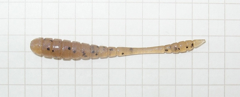 Tsunekichi Worm 2