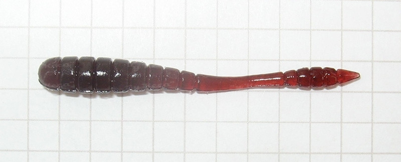 Tsunekichi Worm 2