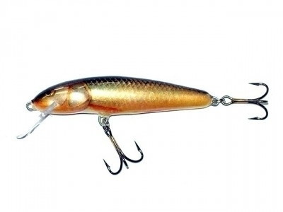 Воблер Salmo Minnow M6F RR