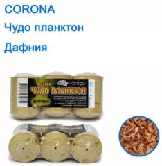 Чудо планктон Corona дафния