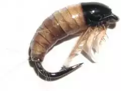 Мормышка Strike Caddis Pupa Natural №12