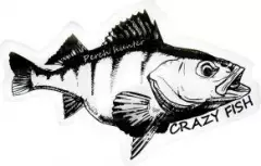 Наклейка Crazy Fish Rech Hunter 100*62мм черная на белом