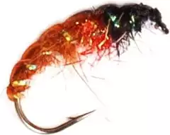 Нимфа Brown Shrimp CN06-10