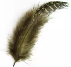 Перья цесарки Strike GF-Ol Guinea Feathers Olive