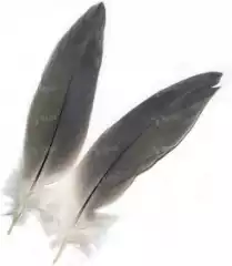 Перо цапли маховое Strike Heron Mini Feathers - Natural