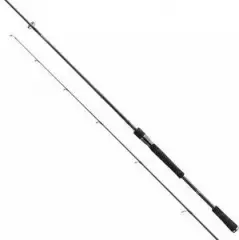 Спиннинг Daiwa Prorex XR Spin 2.4м 10-30г