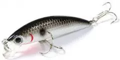 Воблер Lucky Craft Humpback minnow 50Sp #077 Or Tennessee 3.2g 0.3m